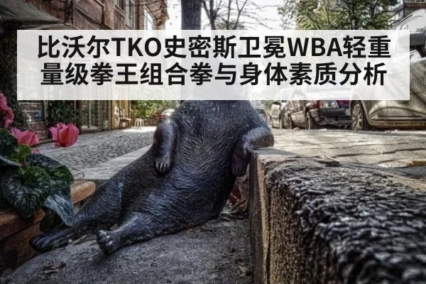 比沃尔TKO史密斯卫冕WBA轻重量级拳王组合拳与身体素质分析