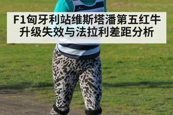 F1匈牙利站维斯塔潘第五红牛升级失效与法拉利差距分析