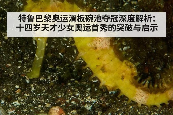 特鲁巴黎奥运滑板碗池夺冠深度解析:十四岁天才少女奥运首秀的突破与启示