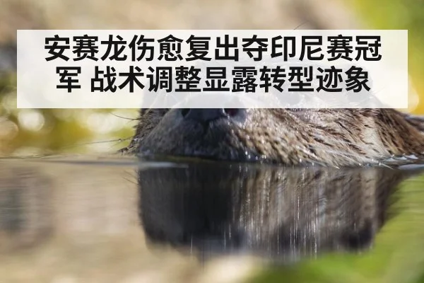 安赛龙伤愈复出夺印尼赛冠军 战术调整显露转型迹象